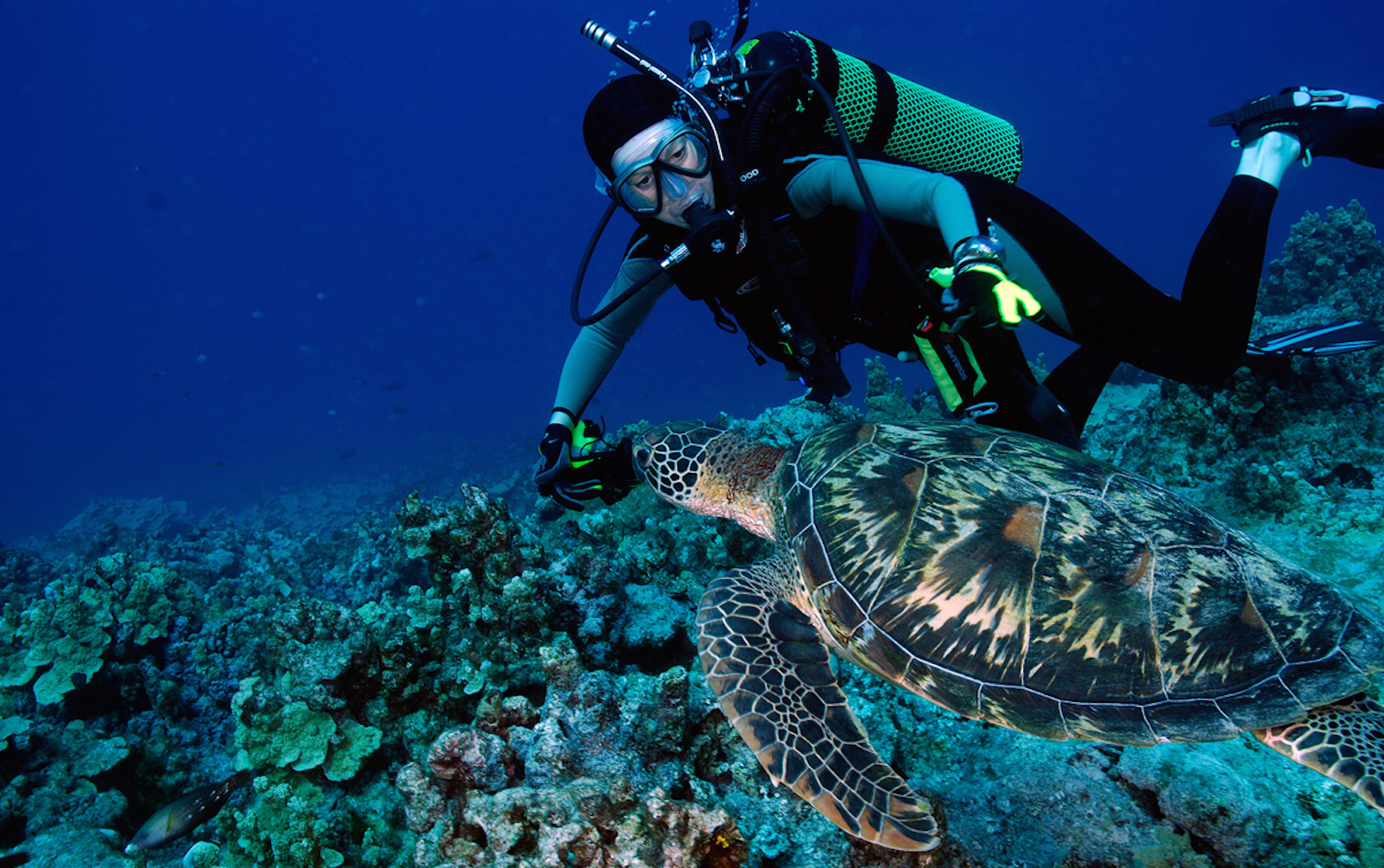 Read more about the article Scuba Certification